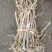 甘肃定西岷县野生黄芪，大量上市，上等产品