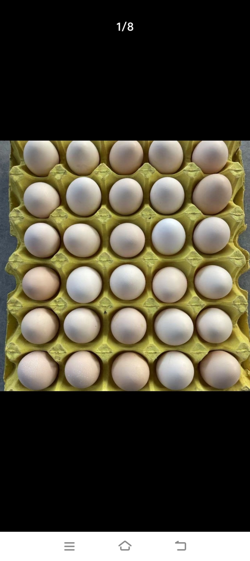 鸡蛋