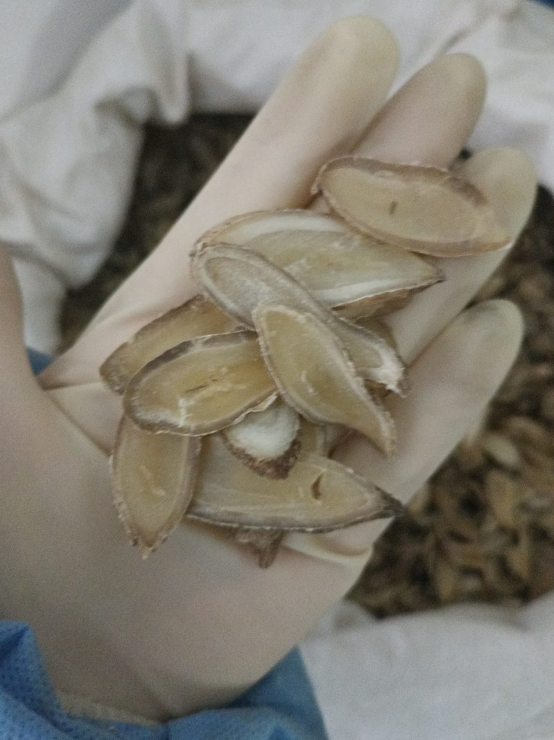 郁金中草药郁金切片无硫干净无杂质统货精选