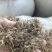 山东菏泽曹县花生秧自家一手货源货量大干度好无土无膜杂质少