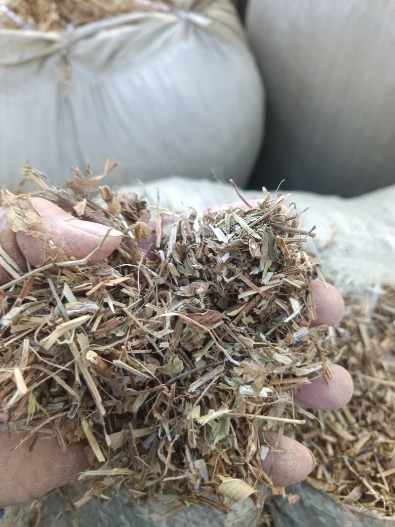 山东菏泽曹县花生秧自家一手货源货量大干度好无土无膜杂质少
