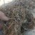 山东菏泽曹县花生秧自家一手货源货量大干度好无土无膜杂质少