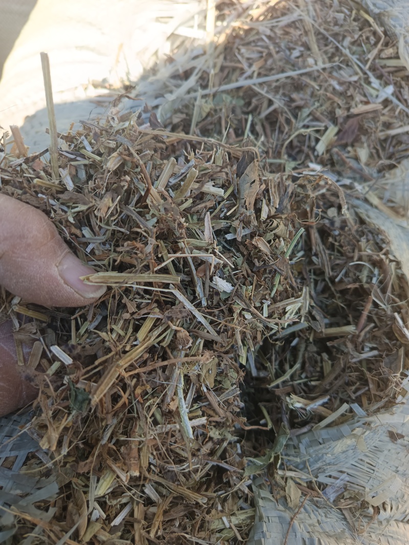 山东菏泽曹县花生秧自家一手货源货量大干度好无土无膜杂质少