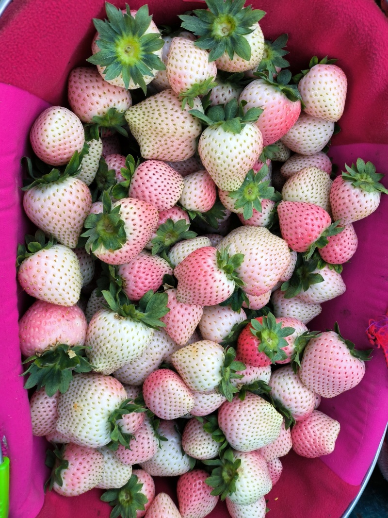 【下架】宁玉，妙香草莓精品新鲜草莓批发有量