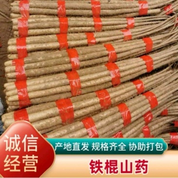 急售！山药条行好口感粉糯香甜可对接电商团购各大批发商