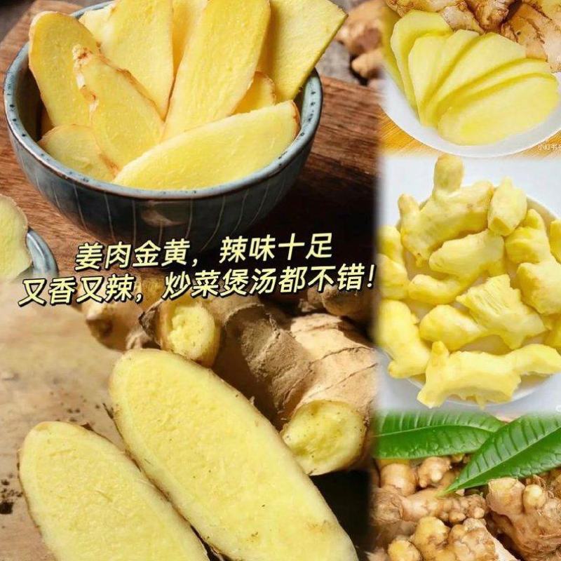 推荐安徽大黄姜现货出售质量保证