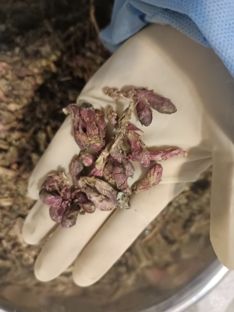 款冬花中药材款冬花无添加净货干货