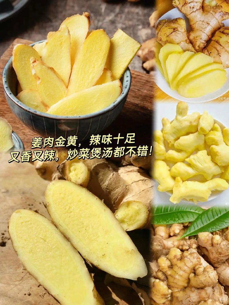河南大黄姜保证质量对接批发商