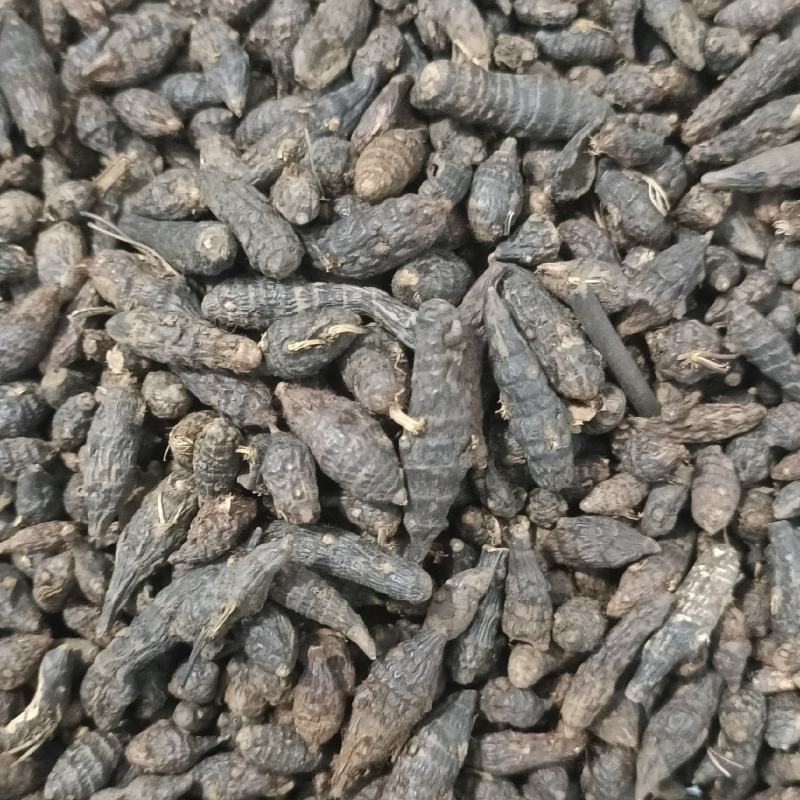 香附中药材香附子无添加保质保量