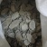 莪术中药材文术无硫净货无杂质