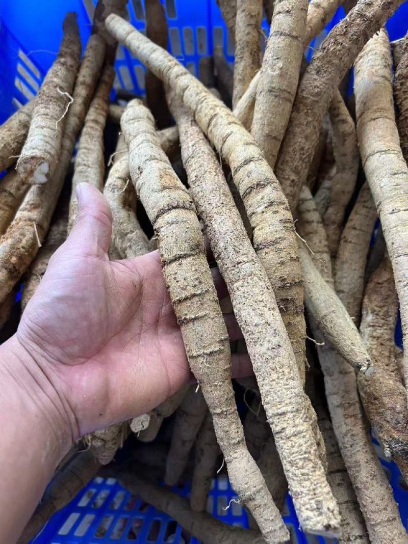 牛大牛批发，加工各种规格，厂家直发，欢迎来电咨询