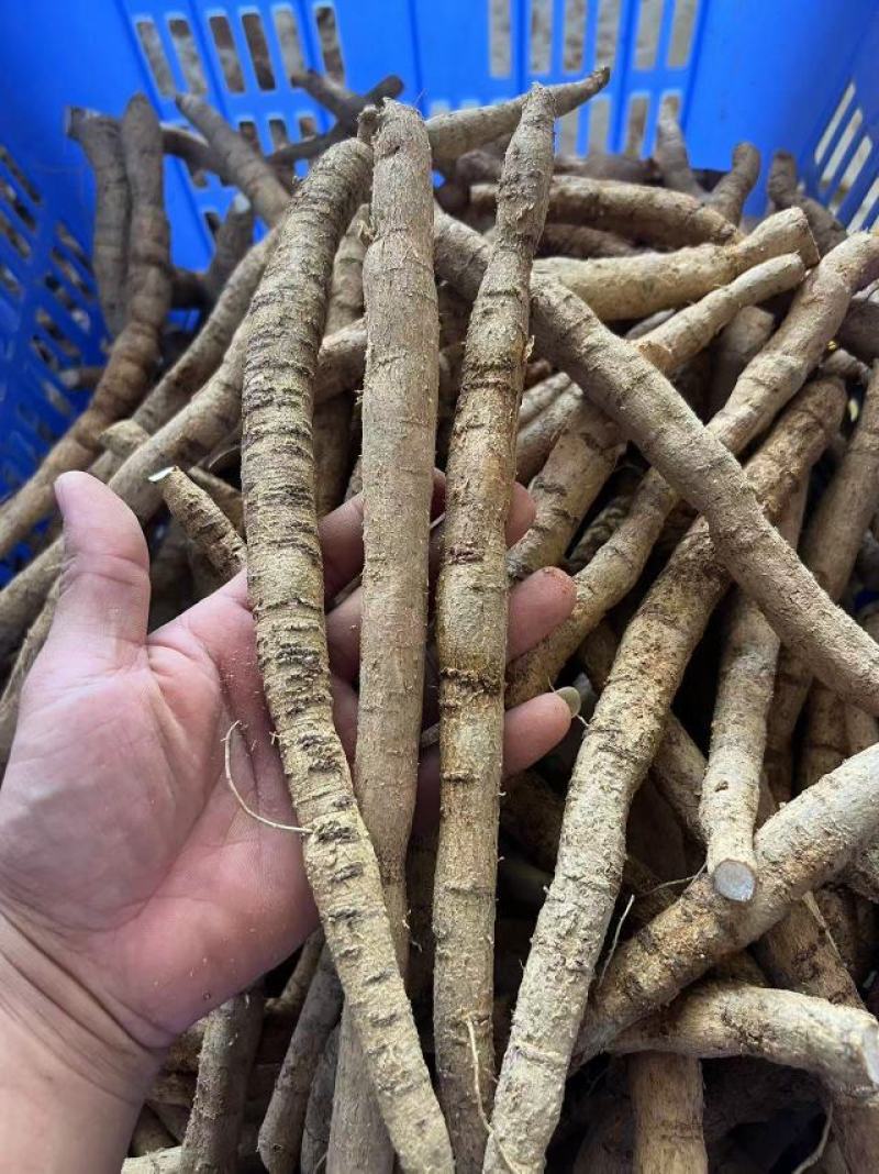 牛大牛批发，加工各种规格，厂家直发，欢迎来电咨询