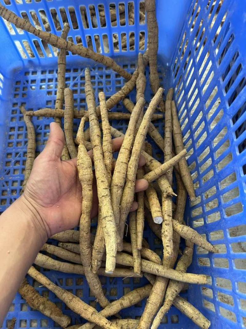 牛大牛批发，加工各种规格，厂家直发，欢迎来电咨询