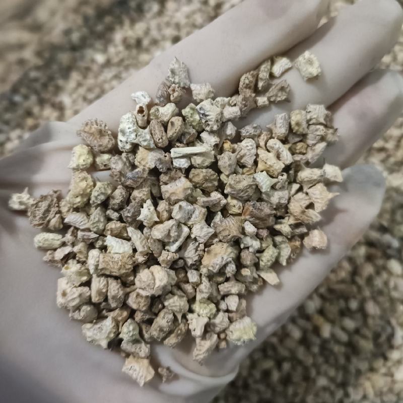 蒺藜中草药蒺藜无硫无霉变净货