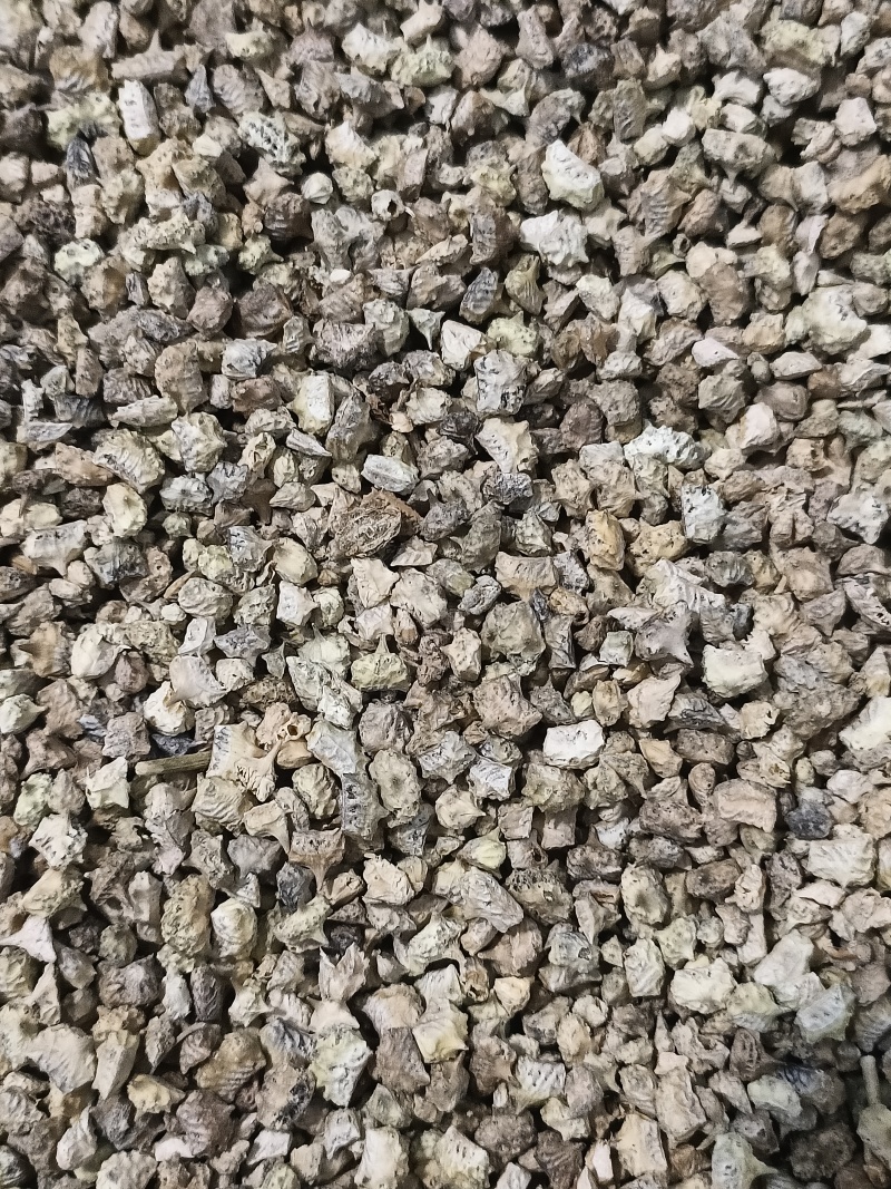 蒺藜中草药蒺藜无硫无霉变净货