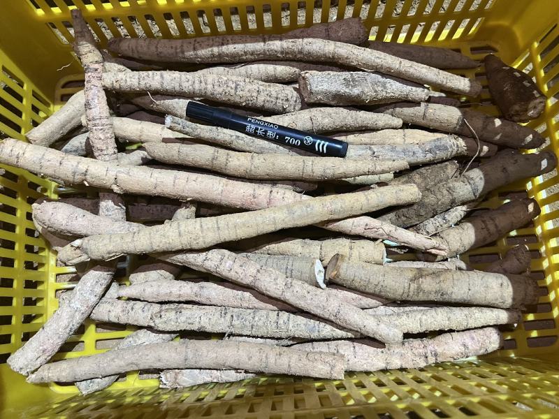 牛大牛批发，加工各种规格，厂家直发，欢迎来电咨询