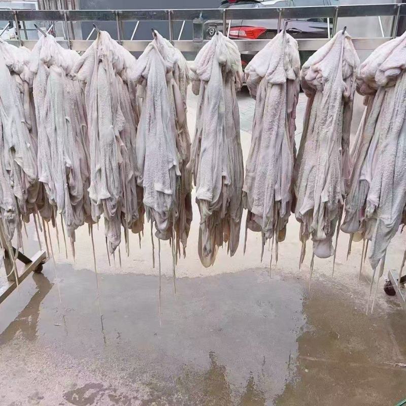 羔羊净肚