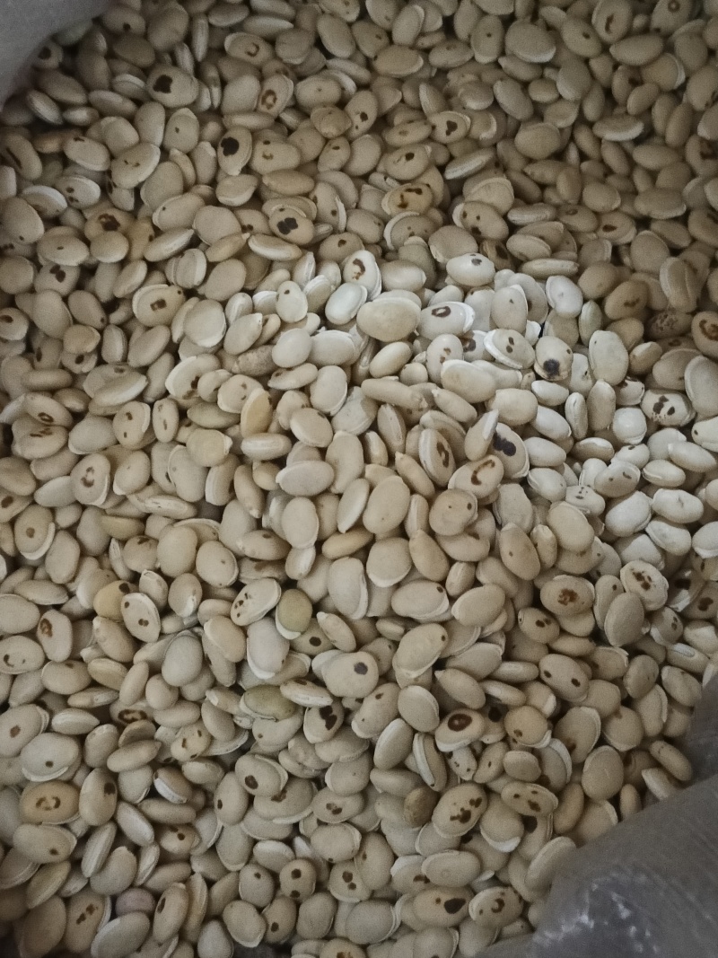炒扁豆中药材炒扁豆净货无杂质