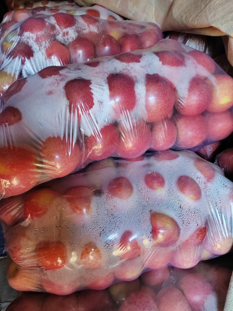 陕西淳化高山光果秦冠丑苹果欢迎新老客户订购