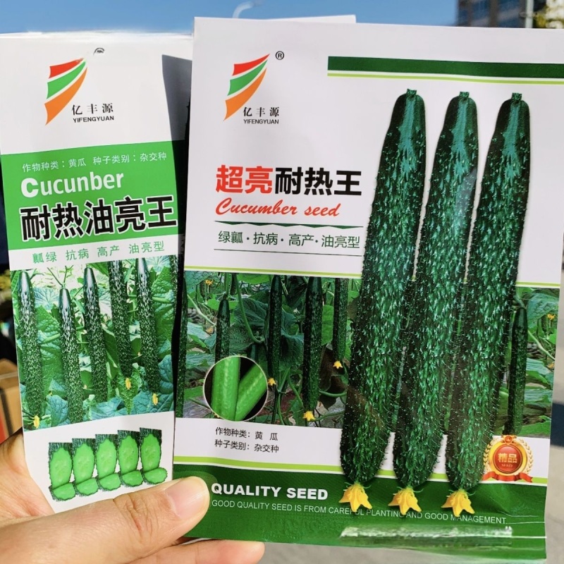 超亮耐热王黄瓜种子绿芯耐热油亮王黄瓜种籽绿瓤甜脆高产青瓜