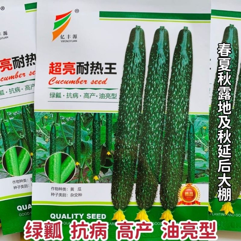 超亮耐热王黄瓜种子绿芯耐热油亮王黄瓜种籽绿瓤甜脆高产青瓜