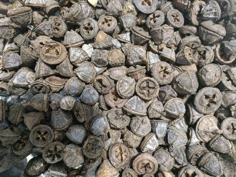 一口钟中药材一口钟无添加净货