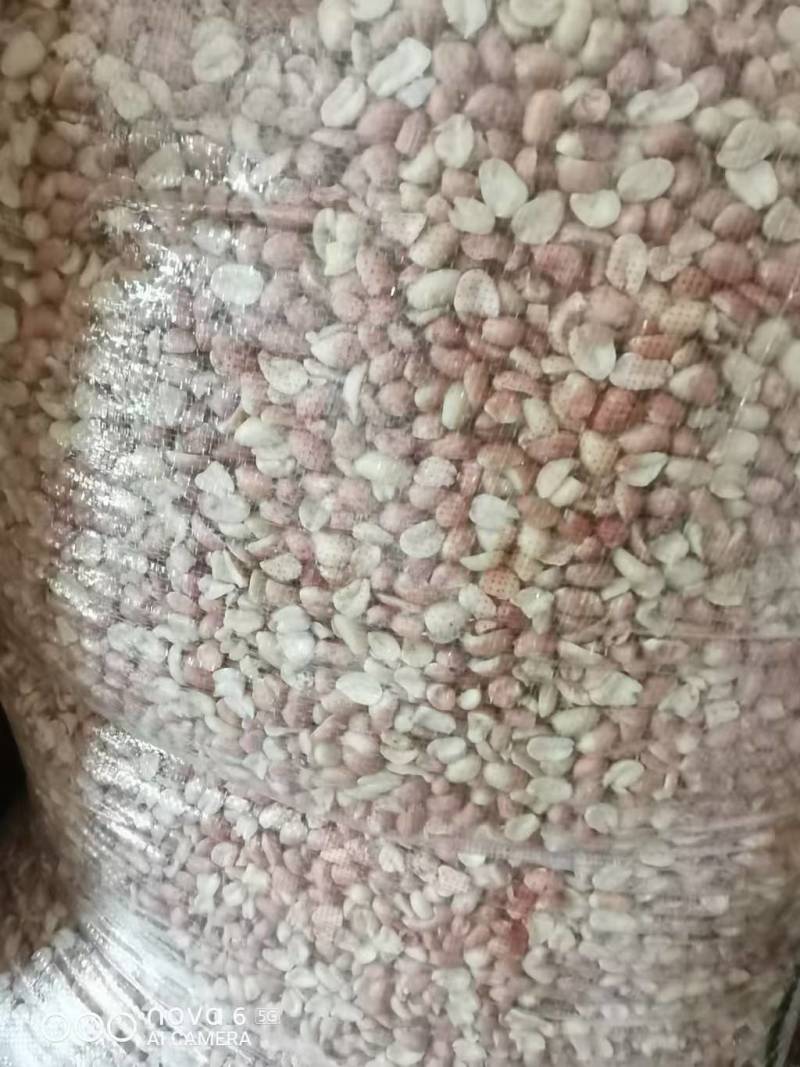 河南南阳花生米，大量出货，视频看货全国发货，电话联系