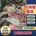 全母蟹苗淡水大闸蟹苗盘锦河蟹苗种苗鲜活小螃蟹