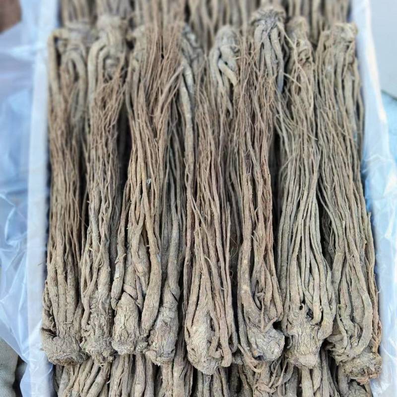 精选当归原产地直供随时有货