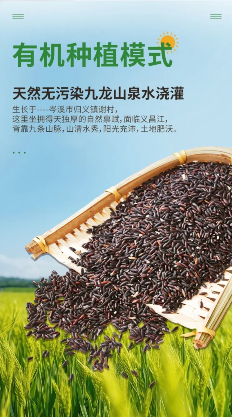 年货礼盒[先喝茶，再吃养生米]那墨珍黑茶米，适合控糖减脂
