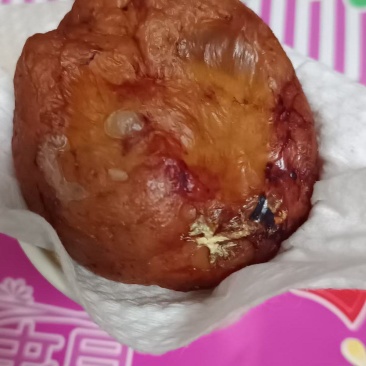 鸡宝