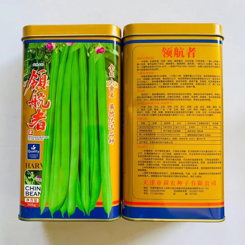 领航者四季豆种子全能小金豆耐寒抗热中早熟菜豆蔬菜