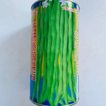 架豆王无筋泰国架豆种子籽四季豆芸豆高产厚肉抗病抗热春秋播