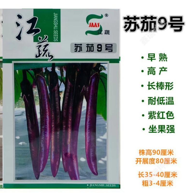 江蔬苏茄9号杂交茄子种子紫红茄子籽皮油亮早熟高产软糯长