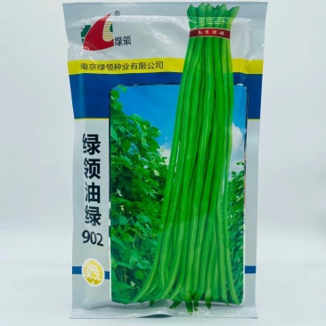 绿领油绿902长豇豆种子早中熟荚翠绿顺直耐热春秋播种长豆