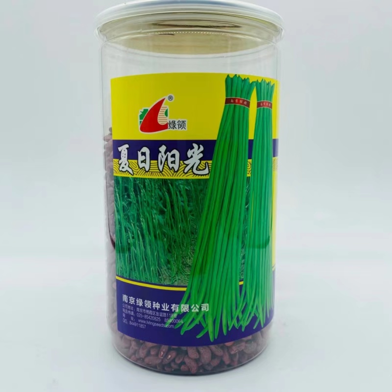 夏日阳光耐热豇豆种籽高产夏季青条长豆角种大田顺直长条豇豆