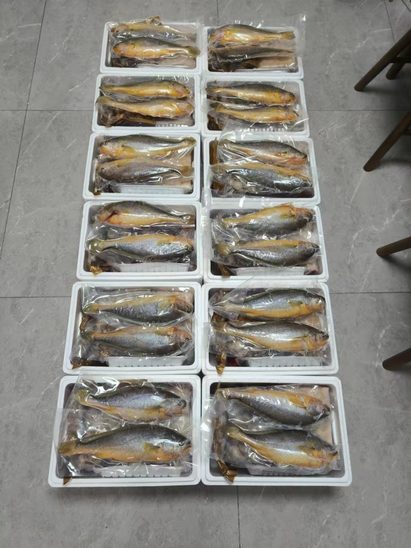 各种海鲜大礼包送礼佳品，重货捆绑式落地，完好无损，欢迎订购