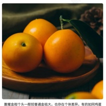 【一件代发】融安脆蜜金柑桔产地直发批发零售全国可发！