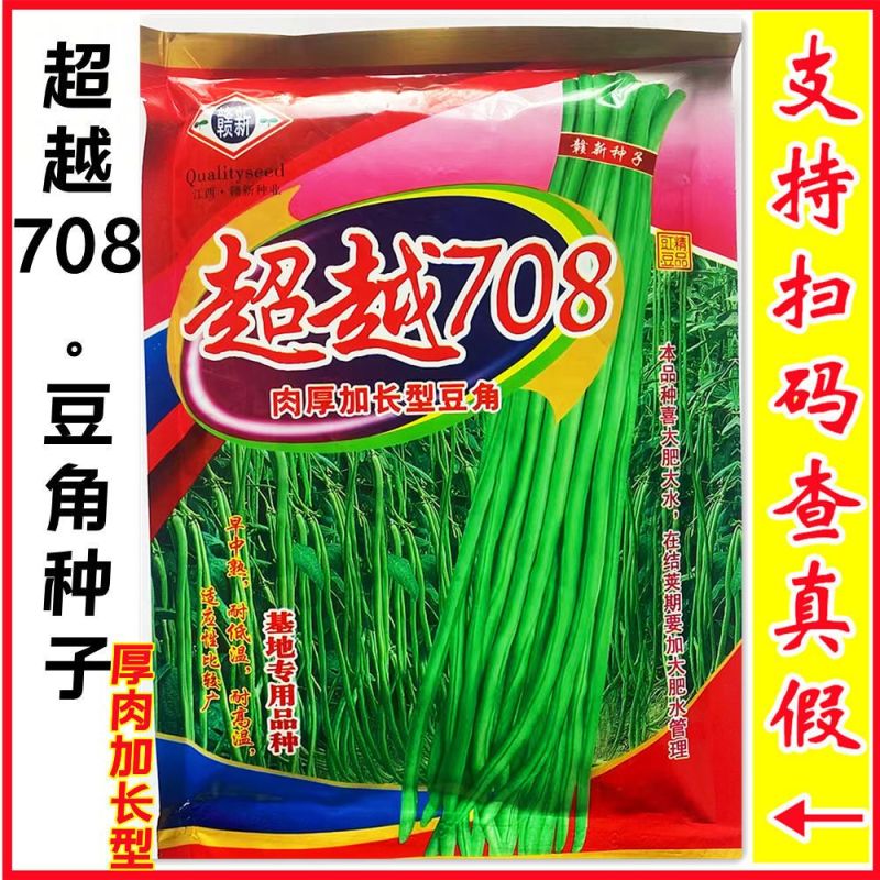 赣新超越708长豇豆种子中早熟肉厚加长型豆角种籽春秋播种