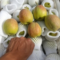 库尔勒香梨