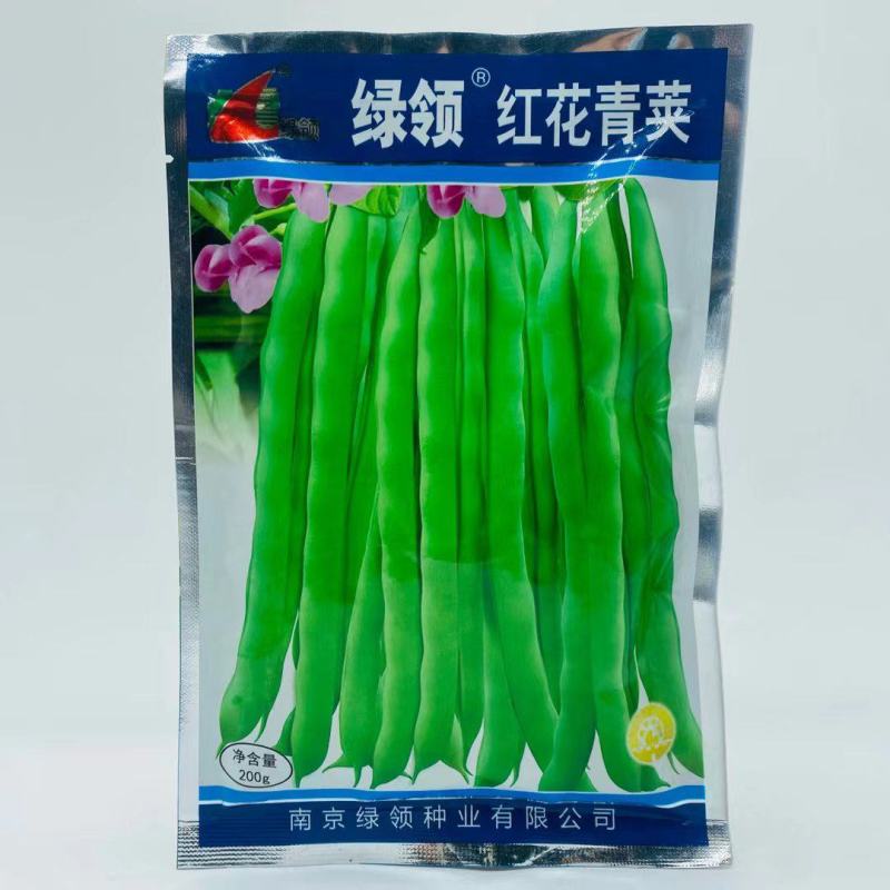绿领红花青荚架豆种子鲜嫩厚肉高产耐热抗病农家春秋播精选豆
