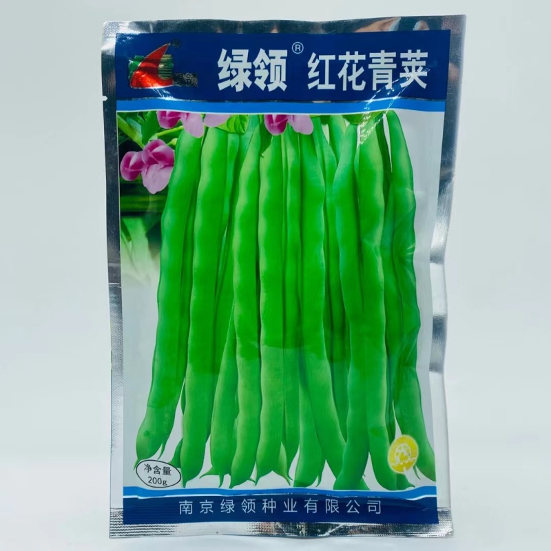 绿领红花青荚架豆种子鲜嫩厚肉高产耐热抗病农家春秋播精选豆