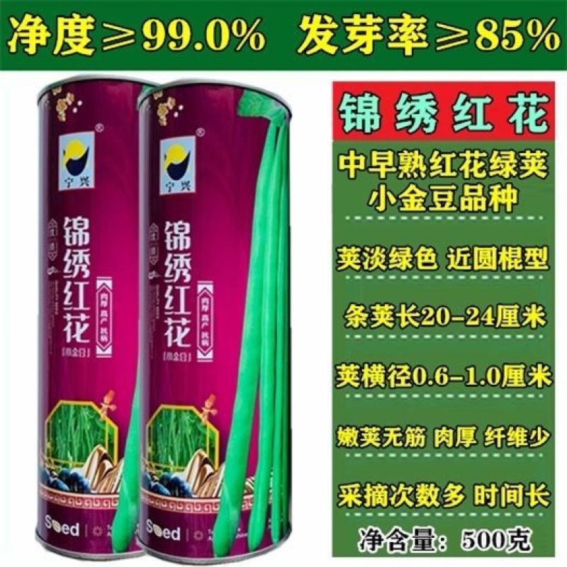 四季豆种子锦绣红花早熟抗病肉厚纤维少产量高品质佳耐贮运品