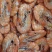 熟对虾、湿对、肉质饱满大对熟虾、一手货源