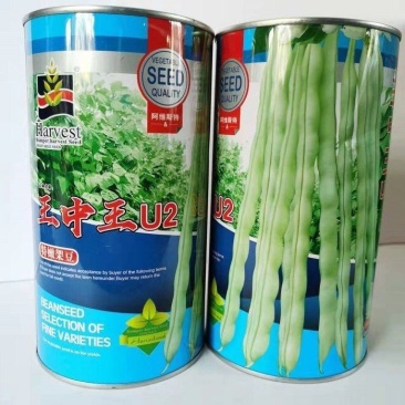 王中王U2架豆种子高产豆角种籽无筋架豆王四季豆芸豆蔬菜大