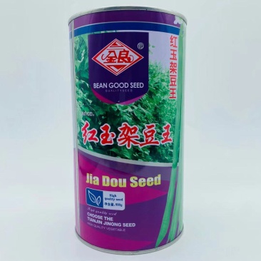 红玉架豆王种子四季豆抗病抗热嫩荚肉厚绿色圆长高产芸豆角种