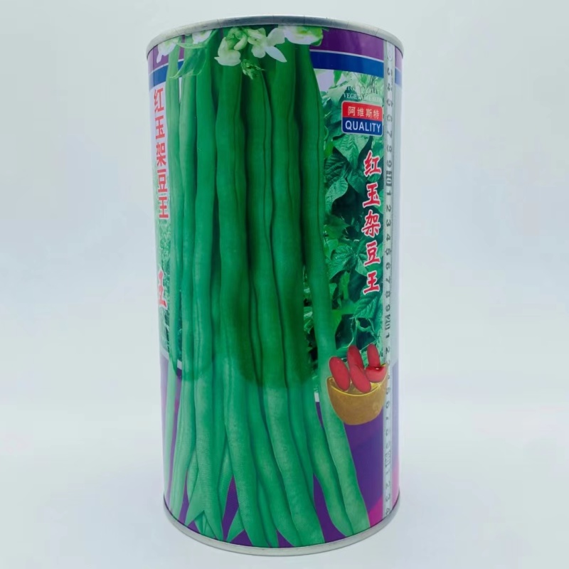 红玉架豆王种子四季豆抗病抗热嫩荚肉厚绿色圆长高产芸豆角种