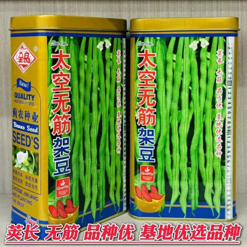太空无筋架豆种子泰国架豆王无丝豆角种籽春秋季特长豆角蔬菜