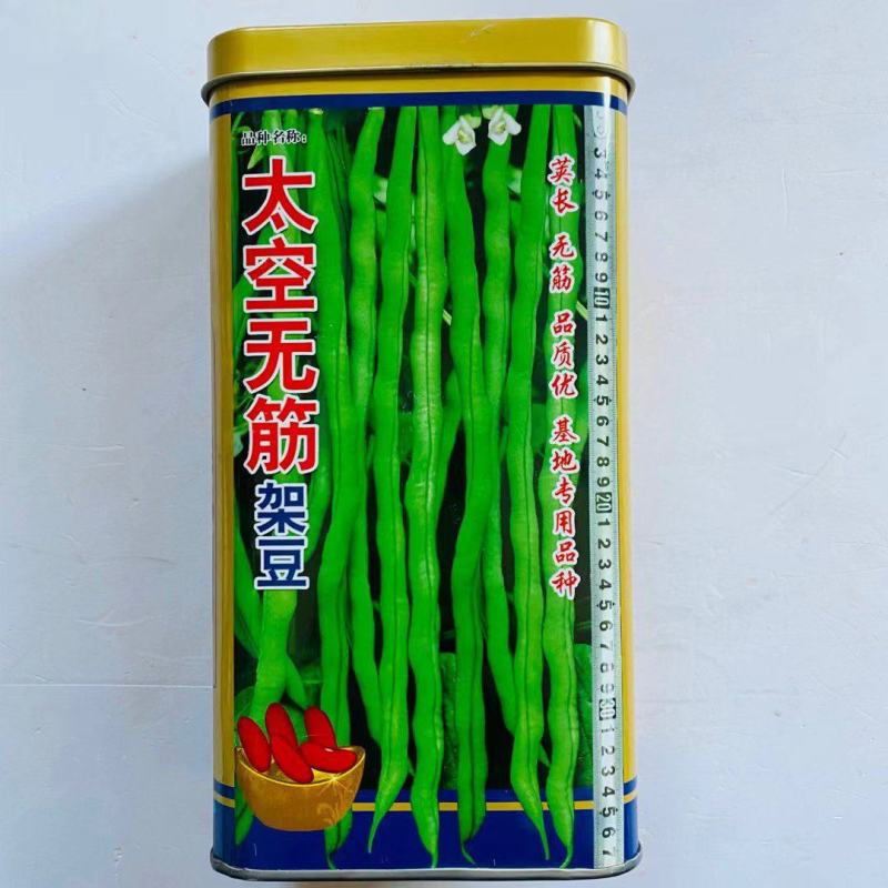 太空无筋架豆种子泰国架豆王无丝豆角种籽春秋季特长豆角蔬菜