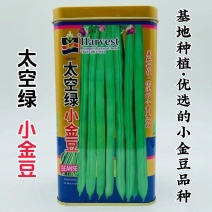 太空绿小金豆种子基地种植优选小金豆种籽圆形荚豆角种子抗寒